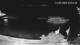 Huvahendhoo (Atoll d'Ari) 14.06.2025 21:08