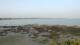 Le Pouliguen 08.06.2025 21:09
