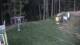 Zieleniec 23.04.2025 21:10
