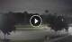Reunion, Florida 03.07.2025 21:21