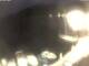 Valun (Cres) 30.04.2025 21:11