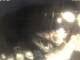Valun (Cherso) 29.04.2025 21:11