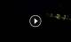 Votsi (Alonneso) 29.04.2025 21:11