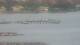 Balaruc-les-Bains 30.04.2025 21:11