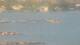 Balaruc-les-Bains 30.06.2025 21:11