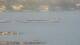 Balaruc-les-Bains 14.06.2025 21:11