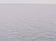 AIDAbella 14.03.2025 21:22