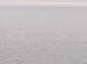 AIDAbella 11.07.2025 21:11