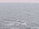 AIDAbella 29.04.2025 21:12