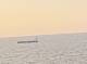 AIDAmar 14.06.2025 21:11
