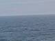 AIDAmar 23.06.2025 21:11