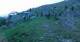 Selva en Val Gardena 14.06.2025 21:12