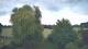 Mandelsloh 08.06.2025 21:12