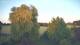 Mandelsloh 11.06.2025 21:12