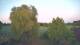 Mandelsloh 17.04.2025 21:12