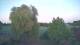 Mandelsloh 10.05.2025 21:12