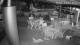 Bellaria-Igea Marina 08.06.2025 21:48