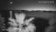 Split 08.07.2025 21:12
