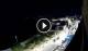Santa Cesarea Terme 29.04.2025 21:13