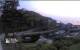 Halls Harbour 08.06.2025 21:14