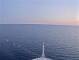 Costa Fascinosa 30.04.2025 21:14