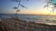San Vincenzo 09.07.2025 21:14