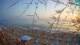 San Vincenzo 05.07.2025 21:14