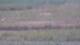 Les Landes-Genusson 14.06.2025 21:16