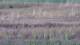 Les Landes-Genusson 09.07.2025 21:16