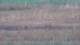 Les Landes-Genusson 04.07.2025 21:16