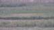 Les Landes-Genusson 08.05.2025 21:16