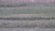 Les Landes-Genusson 08.05.2025 21:16