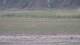 Les Landes-Genusson 16.03.2025 21:17