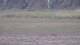Les Landes-Genusson 10.05.2025 21:16