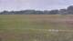 Les Landes-Genusson 14.07.2025 21:25