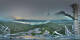 Schiefling am See 14.06.2025 21:58