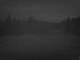 Puchenstuben 08.05.2025 21:18
