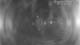 Castaway Island 09.06.2025 21:48