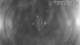 Castaway Island 20.06.2025 21:48