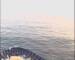 Mein Schiff 2 14.06.2025 21:19