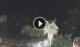 Taormina 30.04.2025 21:20