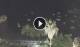 Taormina 11.07.2025 21:19