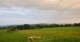 Grebenhain 14.06.2025 21:20