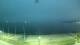 Penzance 30.04.2025 21:20