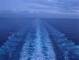 Costa Diadema 16.03.2025 21:21