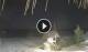 Bwejuu (Sansibar) 08.06.2025 21:20