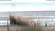Wyk auf Föhr 14.07.2025 21:28