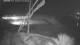 El Gouna 29.04.2025 21:22