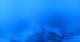 Pruggern 20.03.2025 21:22