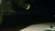 Le Morne 24.05.2025 21:22